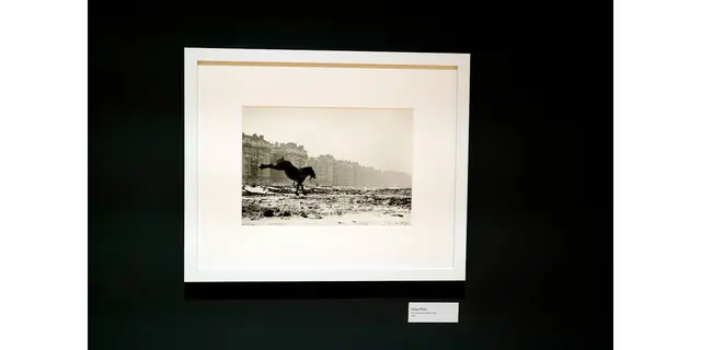 Titel: Cheval porte de Vanves, Paris von Fotografin Sabine Weiss

Bild aus Artikel im Lokalkompass:“Fotografie. Astonish me! Fotografie aus der Sammlung Koetzle – neue Ausstellung in der Städtischen Galerie Iserlohn.“