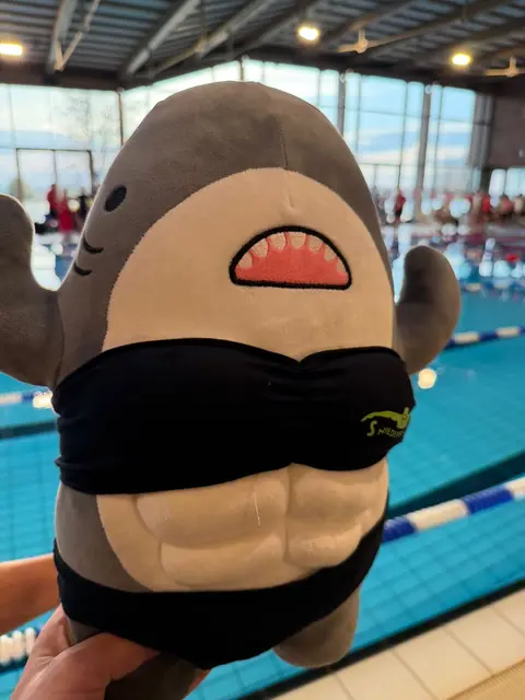 Foto: SG Niederrhein 