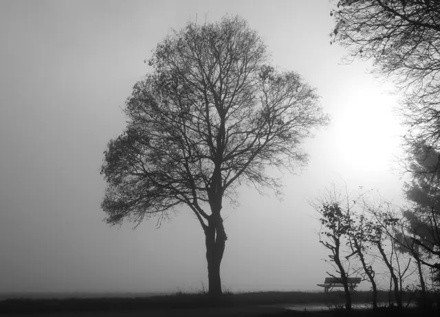 Gerade in dem Wechsel von Melancholie und Licht liegt der besondere Reiz des Novembers. Bild von Christa Regina auf Pixabay