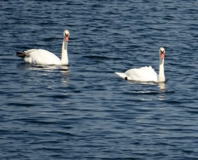 Foto: Foto: Kreis Recklinghausen, Svenja Küchmeister