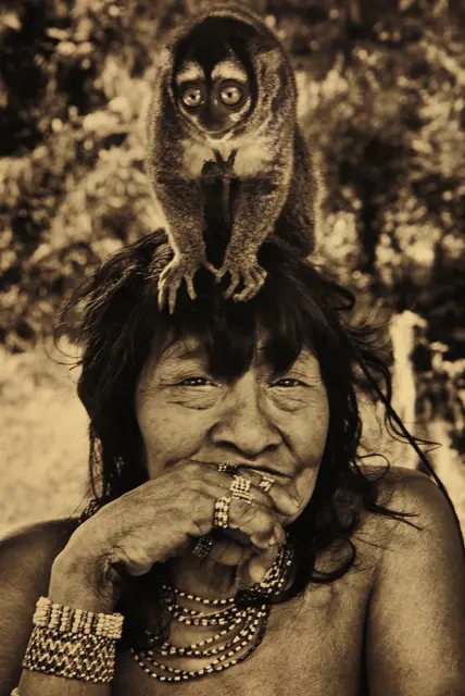 Die Indigene, hier eine Awá Frau ziehen die Jungen, die von ihnen erlegten Tiere auf als wären sie Familienmitglieder.