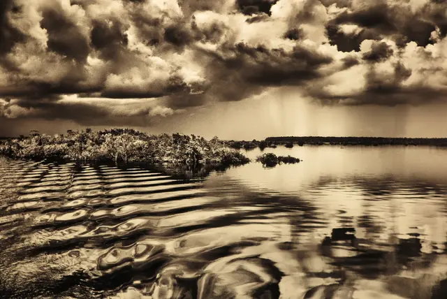 Fliegende Flüsse, feuchtigkeitsbeladene Flüsse der Lüfte bilden sich über den Wald und überziehen einen großen Teil Südamerikas. Durch die Entwaldung sind die Temperaturen um 1,5° gestiegen und der jährliche Niederschlag um 10-20% gesunken.