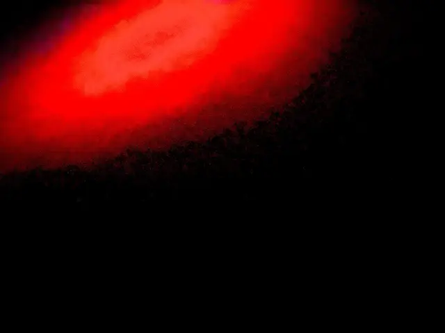 Foto: Text und Foto: Wolfgang Scholmanns