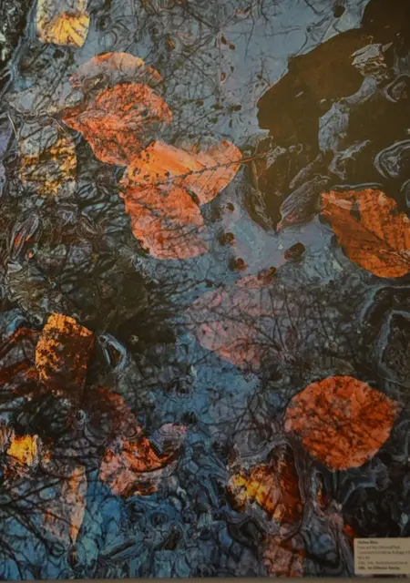 Foto: @Sabine Schlücking