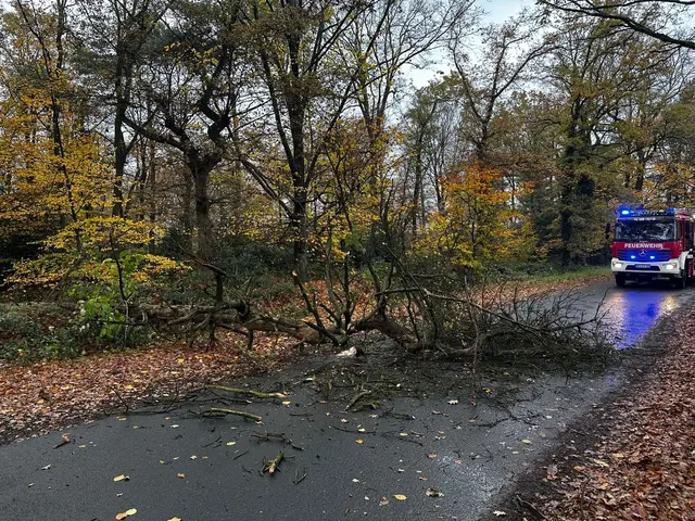 Einsatzstelle | Foto: Feuerwehr Schermbeck