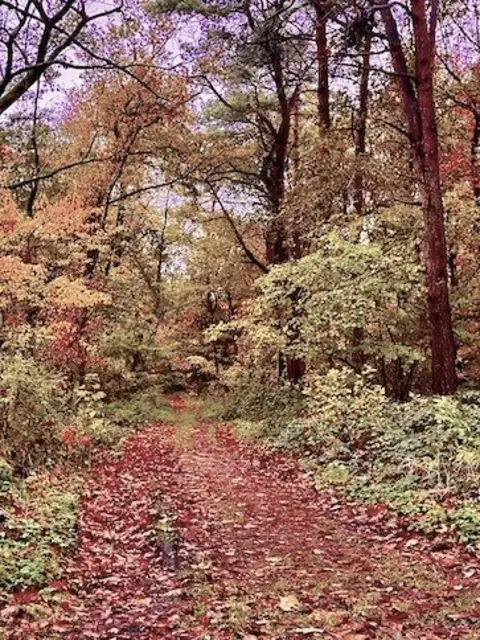 Foto: Text und Foto: Wolfgang Scholmanns