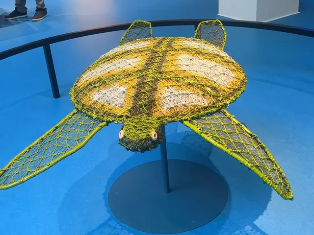 Kunst aus Geisternetzen als Umweltaktivismus

Geisternetze sind im Meer nahezu unsichtbar und bedrohen viele Meerestiere, wie zum Beispiel Schildkröten, Haie und Delfine. | Foto: Astrid Günther