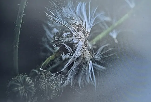 Foto: @ Sabine Schlücking