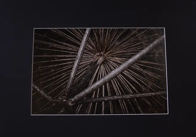 Foto: @ Sabine Schlücking