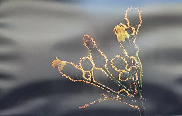 Foto: @ Sabine Schlücking