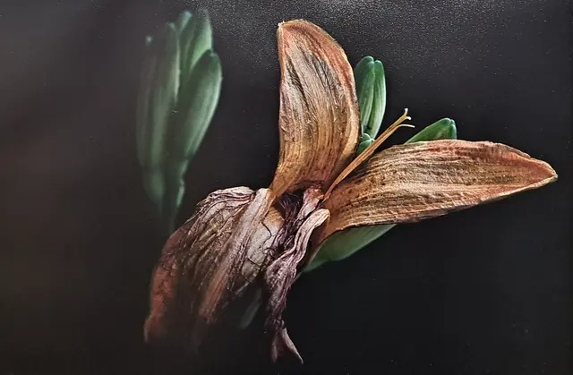 Foto: @ Sabine Schlücking