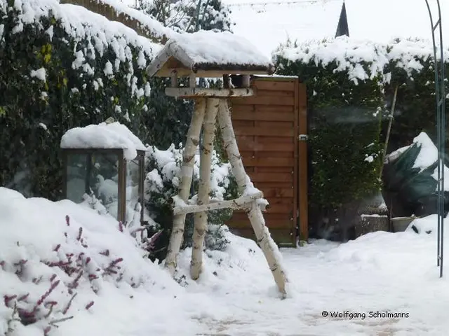 Foto: Text und Foto: Wolfgang Scholmanns