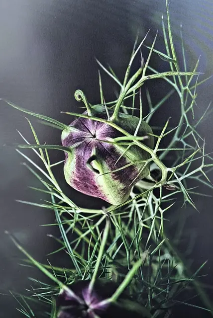 Foto: @ Sabine Schlücking