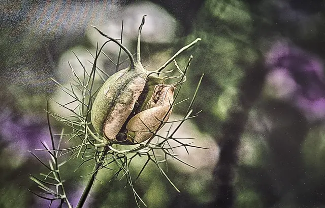 Foto: @ Sabine Schlücking
