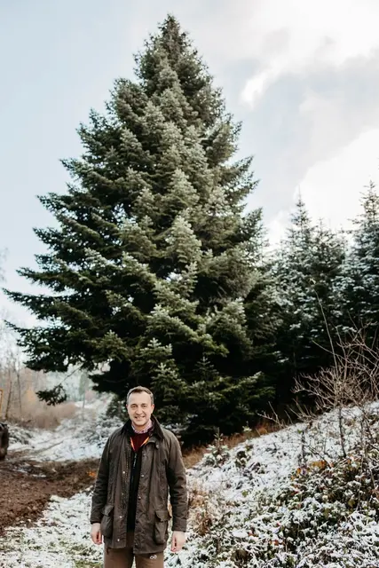 Diese Nordmanntanne aus Plettenberg wir in diesem Advent das Regierungsviertel in Berlin schmücken. Foto: Kathrin Heckmann