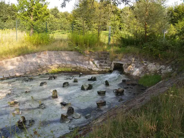 Mineralische Ablagerungen im Grubenwasserauslauf der Zeche Robert Müser in die Werner Teiche in Bochum zeugen vom hohen Gehalt verschiedener gelöster Salze im Grubenwasser. | Foto: Foto von Arnold Paul 