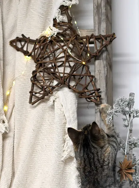 Foto: Blende 79 Fotografie 