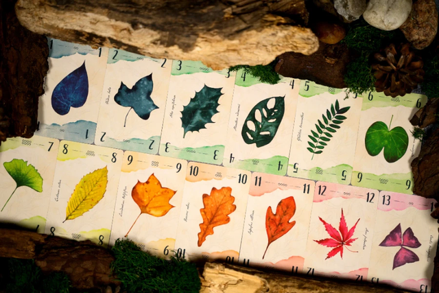 Liebevoll hat Elina Zhelyazkova das Thema "13 Leaves" grafisch umgesetzt. Foto: Elznir Games