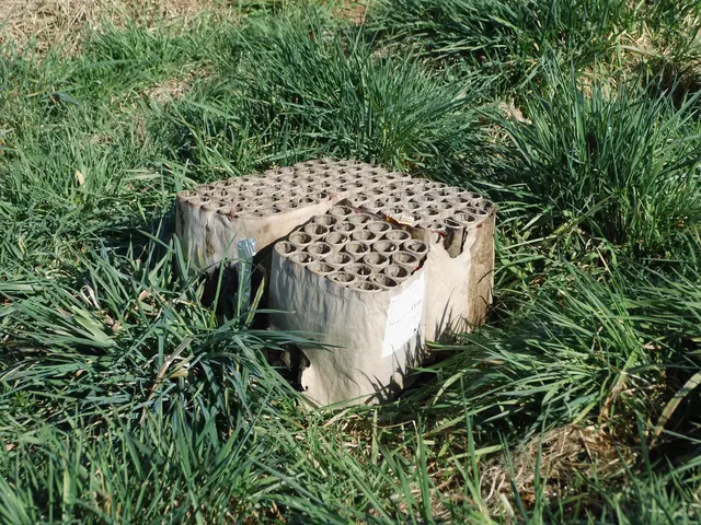 Leere Feuerwerksbatterie auf einer Grasfläche am Wegesrand. (Symbolbild zum Beitrag) | Foto: Siegmund Walter, 27.03.25, 11:18 Uhr 
