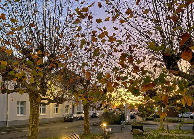 Foto: c Margot Klütsch