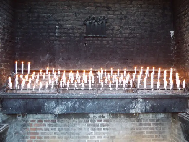 Foto: Siegmund Walter, 21.11.2025, 15:31 Uhr