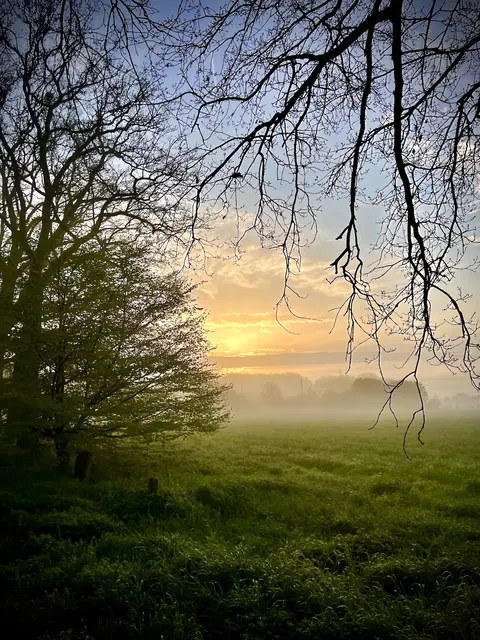 Foto: Text & Foto:  Wolfgang Scholmanns