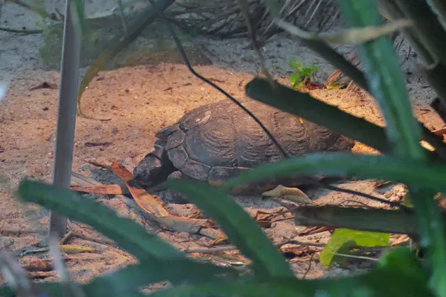 Sie hat die wärmste Stelle gefunden