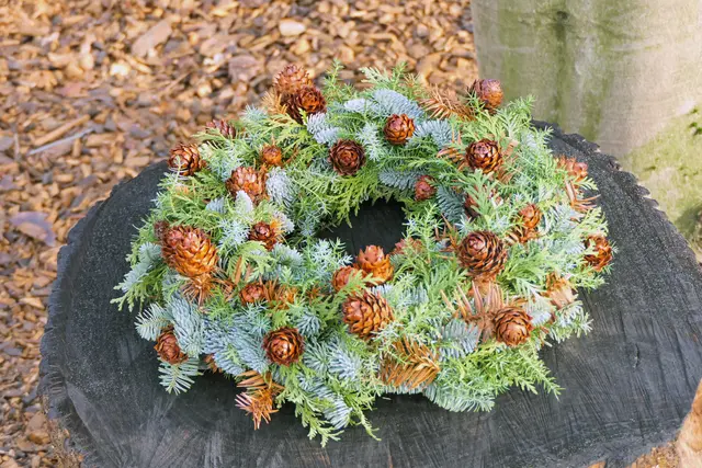 Einen schönen ersten Advent