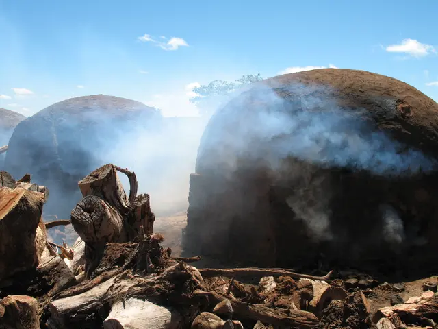 Holzkohlemeiler im Cerrado/Brasilien | Foto: D. Gawora