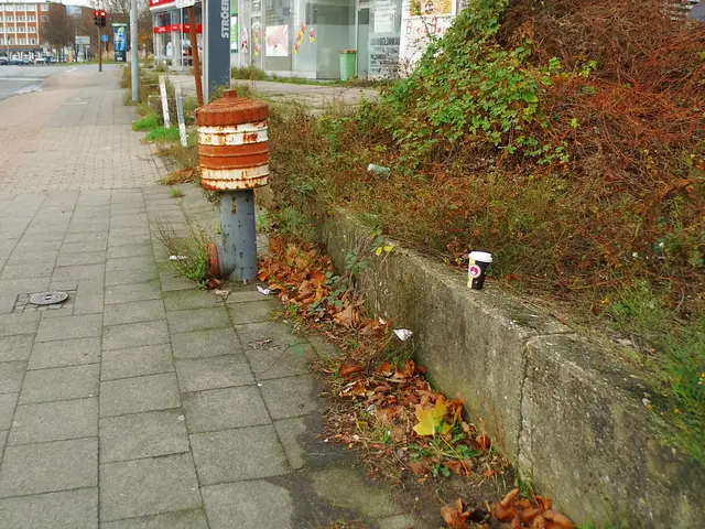 Kaiserring in Richtung Franz-Etzel-Platz, 46483 Wesel | Foto: Siegmund Walter, 02.12.2025, 14:55 Uhr
