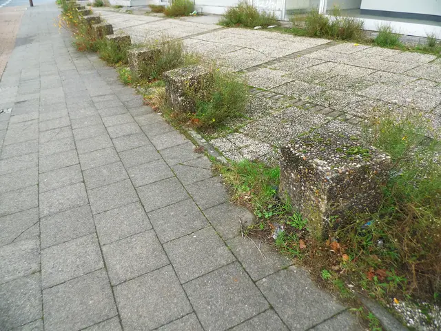 Gehweg zum Weseler Bahnhof, Kaiserring/Franz-Etzel-Platz | Foto: Siegmund Walter, 02.12.2025, 14:55 Uhr