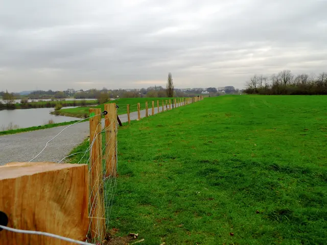 Errichtung von Schutzzäunen entlang der Wege im Naturschutzgebiet Rheinaue Walsum. Links im Bild das Walsumer Hafenbecken/Wendebecken | Foto: Siegmund Walter, 03.12.2025, 11:40 Uhr