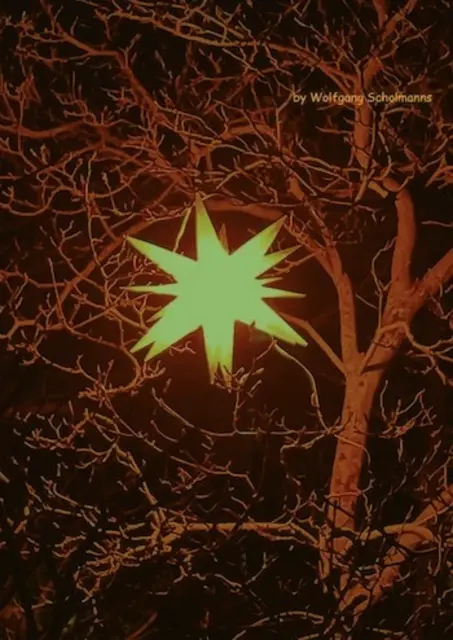 Foto: Text & Foto:  by Wolfgang Scholmanns