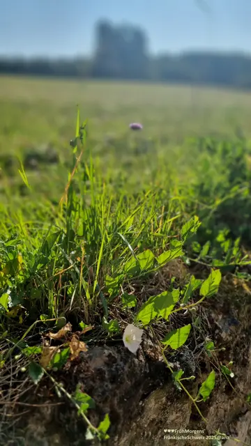 T S C H Ü SSSS´:-)