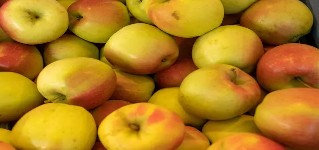 Symbolfoto | Foto: Stadt Oberhausen/Tom Thöne