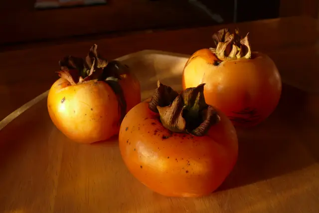 Dattelpflaumen, kaki, gepflückt am 13. Dezember 2025