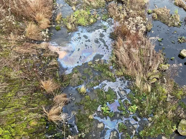 Bild 1 - Verunreinigung auf Gewässer | Foto: Feuerwehr Mülheim an der Ruhr