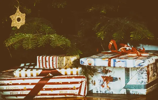 Bild von Bruno auf Pixabay 