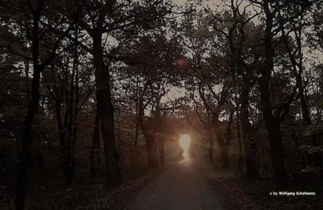 Foto: Text und Foto: Wolfgang Scholmanns