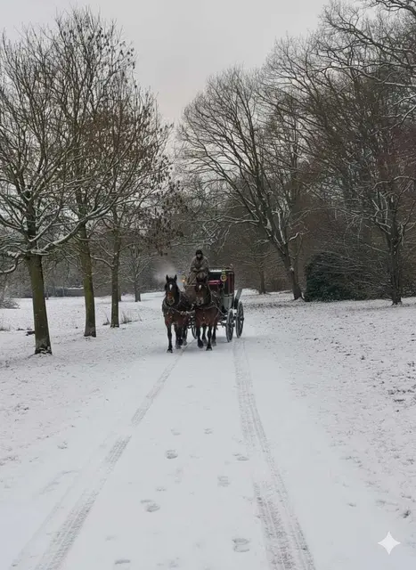 War es Heinrich Heine, der mir da auf einem meiner Spaziergänge, dank KI (Gemini) , in seiner Reisekutsche begegnet ist? | Foto: KI generiert (Gemini)