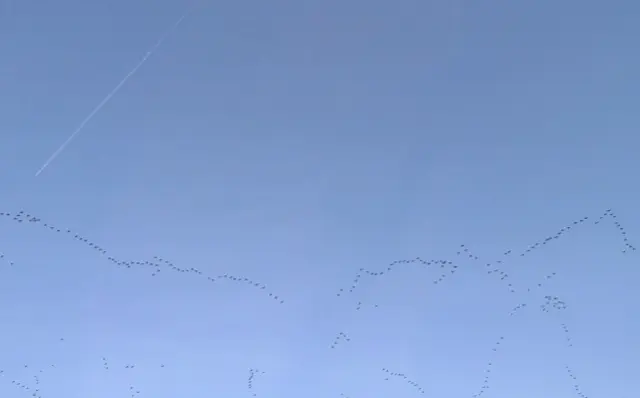 Foto: Daniel Burkhardt