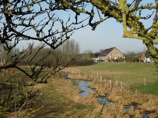 Niederrheinische Landschaft in Wesel-Büderich an der Gindericher Straße | Foto: Siegmund Walter, 20.01.2026, 11:29 Uhr