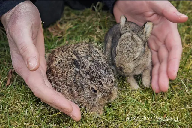 Foto: Fotos by Sina Jakubzig