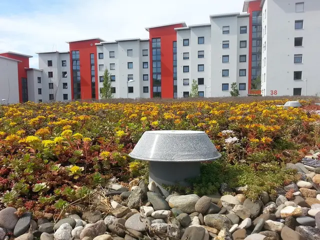 Foto: Pixabay content license  sanremo-domains