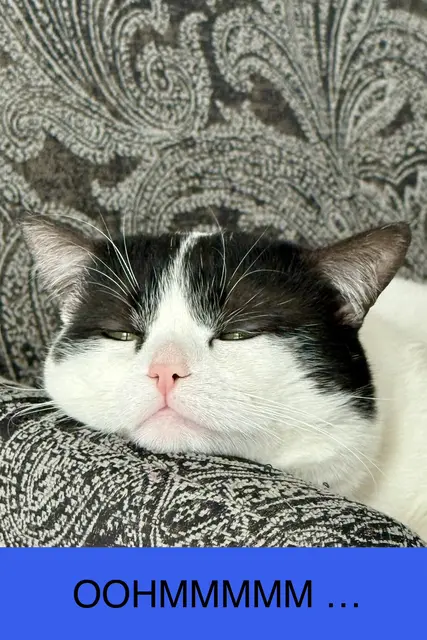 Wieder erwischt. Der Kleine muss immer für meine Fototests erhalten :-) | Foto: Andreas Schulz