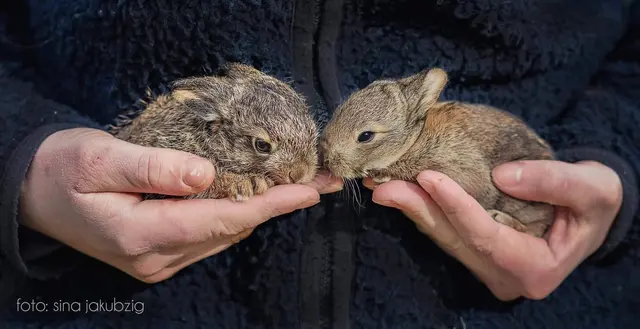 Foto: Fotos by Sina Jakubzig