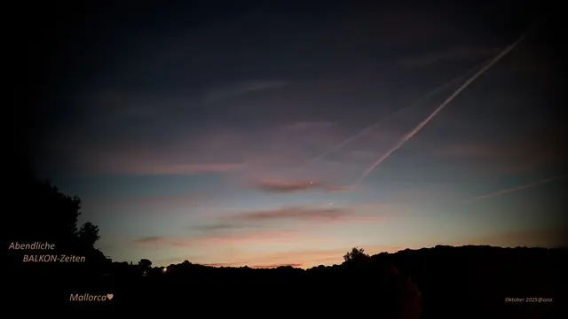 abends---GUTE NACHT :-)