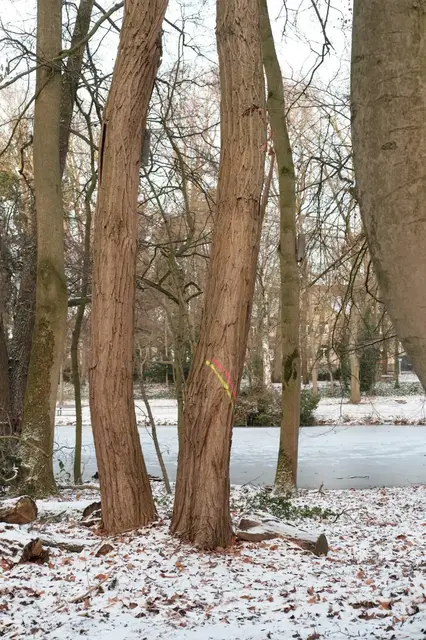 Foto:   BI  Volkspark