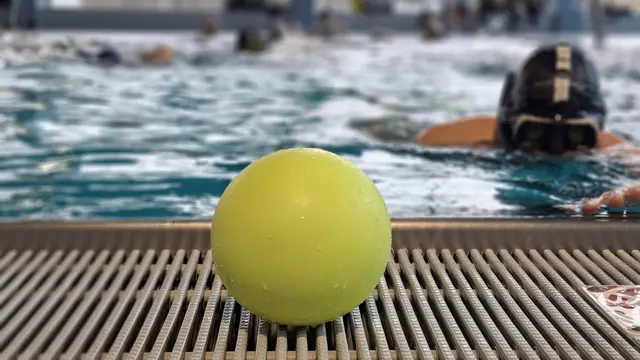 Um diesen, etwa Handball-großen Ball geht es beim Unterwasser-Rugby. | Foto: Gerling