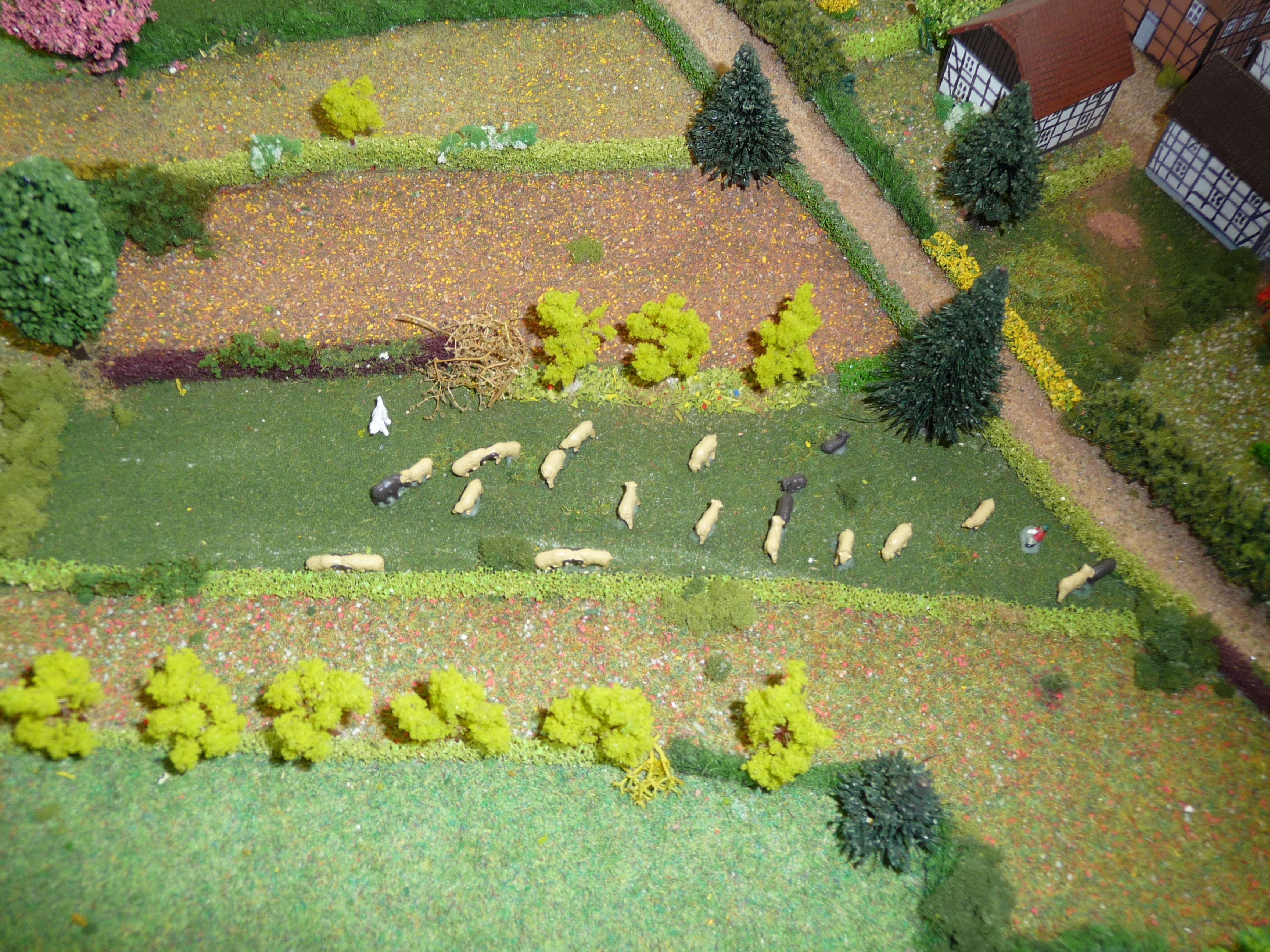 Schafe Mendener Stadtmodel